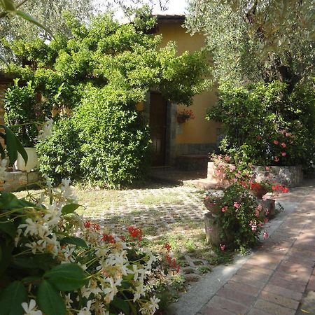 Residence E B&B Villamirella パリヌロ エクステリア 写真